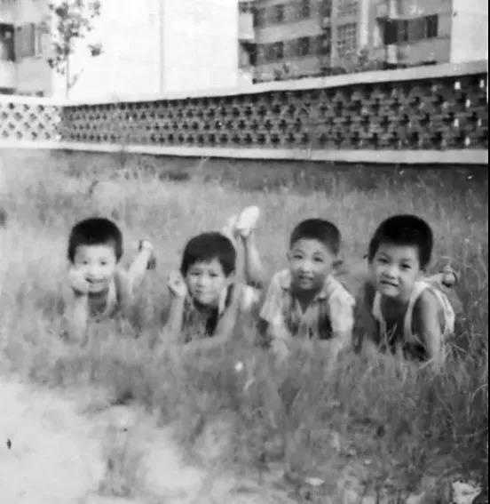 70后，80后，90后：这个夏天，有人喊你回到小时候！